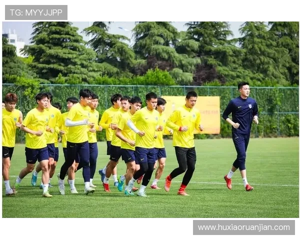 世界姓苏的足球明星们如何在绿茵场上书写传奇与荣耀